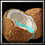 Coconut icon